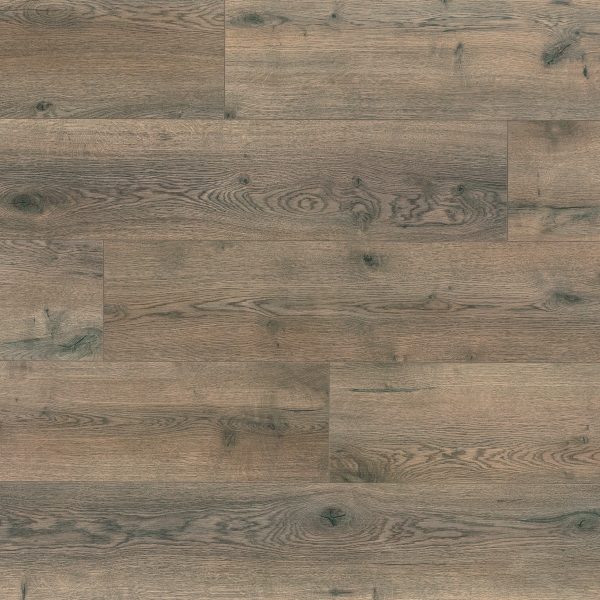 Cadenza Allegro Dark Brown K1613