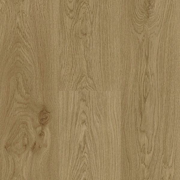 Trendline 8 V4 CL32 Daisy Oak