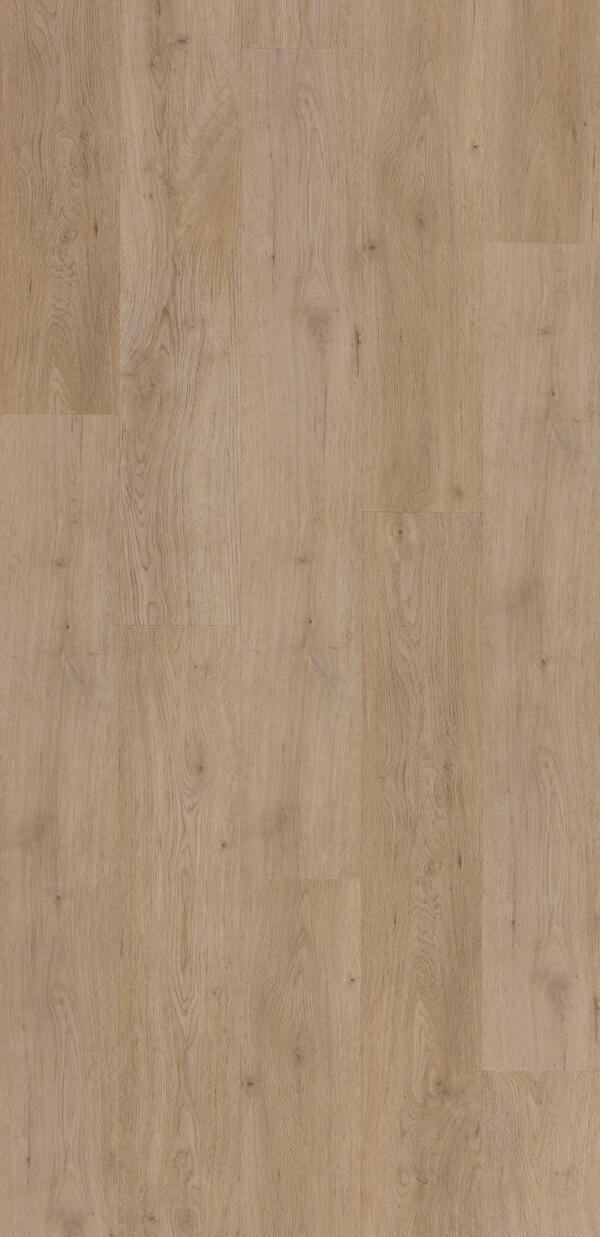 Zenn Click Comfort 55 Plank Faro - Image 2