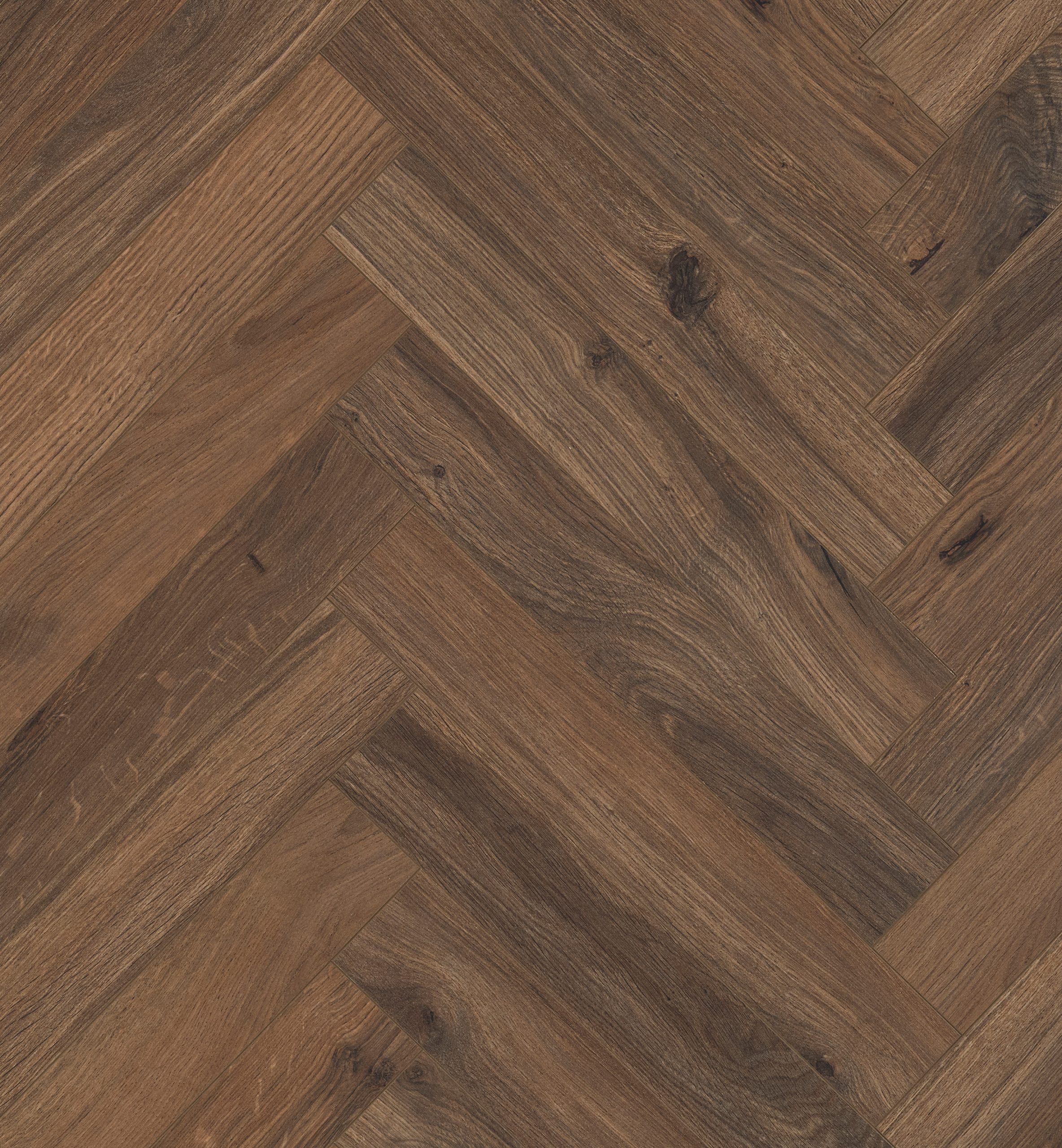 Chateau+ Gyant Dark Brown